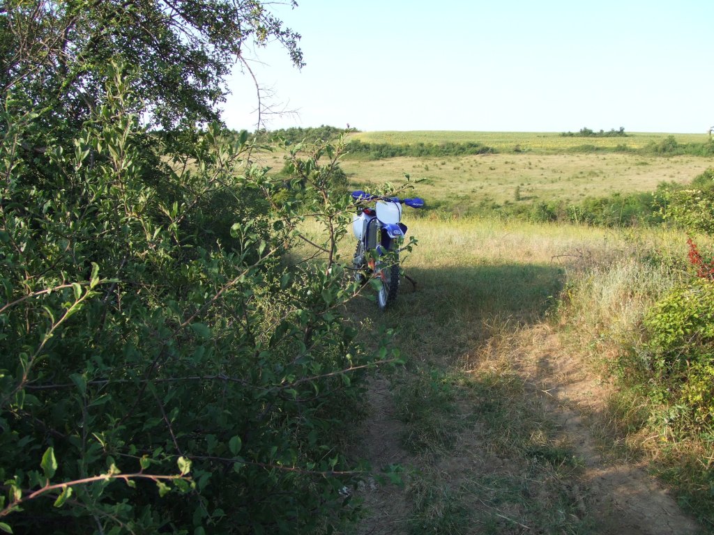 Натиснете снимката за да я уголемите

Име:DSCF3197.jpg
Прегледи:1
Размер:230.9 КБ
ID:5390274