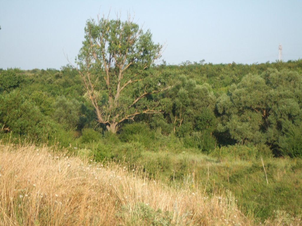 Натиснете снимката за да я уголемите

Име:DSCF3201.jpg
Прегледи:1
Размер:160.1 КБ
ID:5390278