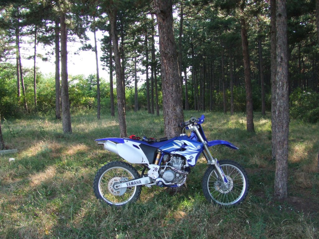 Натиснете снимката за да я уголемите

Име:DSCF3203.jpg
Прегледи:1
Размер:261.3 КБ
ID:5390281