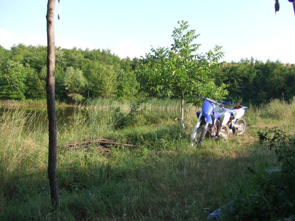 Натиснете снимката за да я уголемите

Име:DSCF3211.jpg
Прегледи:1
Размер:224.8 КБ
ID:5390287