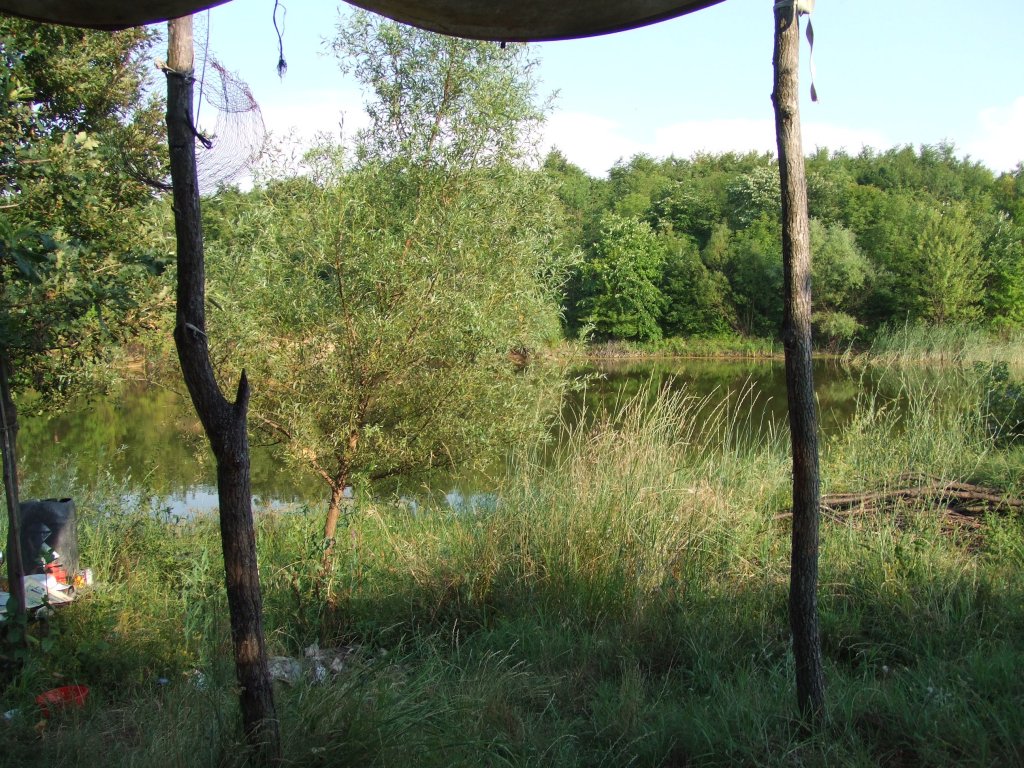 Натиснете снимката за да я уголемите

Име:DSCF3212.jpg
Прегледи:1
Размер:263.0 КБ
ID:5390288