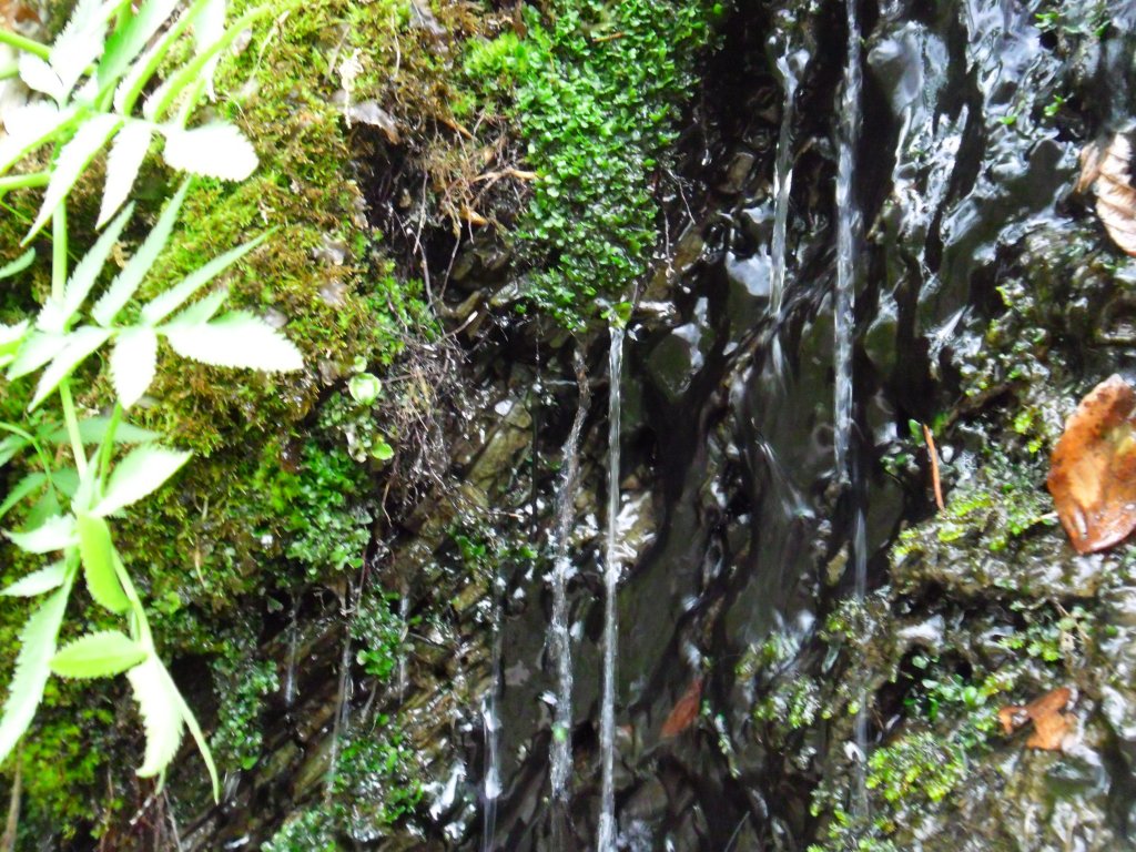 Натиснете снимката за да я уголемите

Име:SAM_1808.jpg
Прегледи:1
Размер:238.2 КБ
ID:5390339