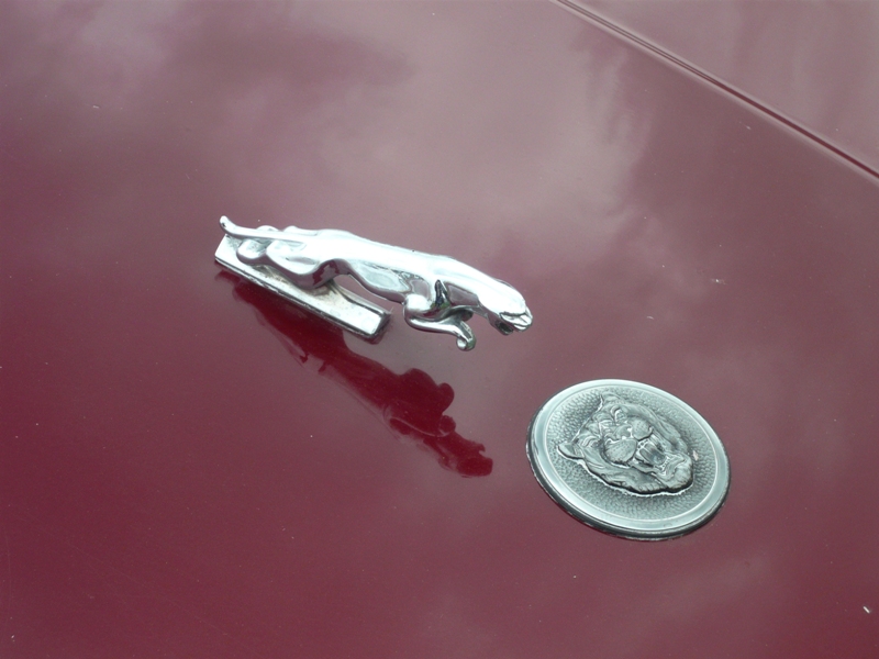 Натиснете снимката за да я уголемите

Име:1 (16).JPG
Прегледи:1
Размер:234.2 КБ
ID:5391449