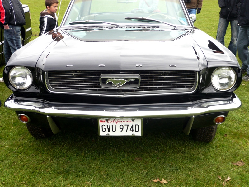 Натиснете снимката за да я уголемите

Име:1 (85).JPG
Прегледи:1
Размер:270.2 КБ
ID:5391518