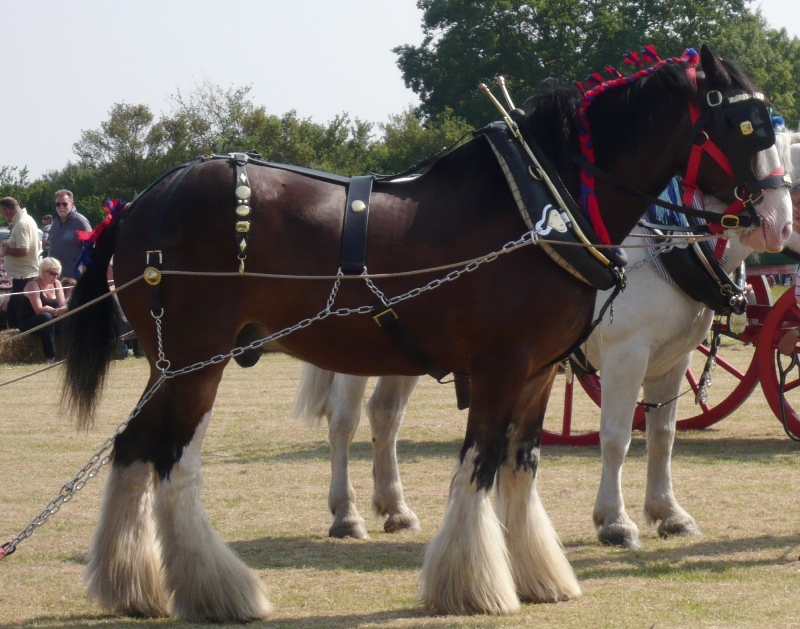 Натиснете снимката за да я уголемите

Име:1 (183).JPG
Прегледи:1
Размер:378.2 КБ
ID:5391614