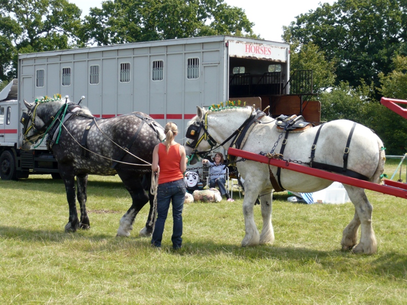 Натиснете снимката за да я уголемите

Име:1 (181).JPG
Прегледи:1
Размер:315.5 КБ
ID:5391633