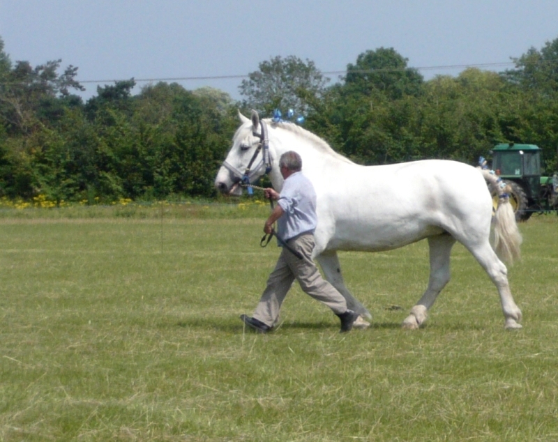 Натиснете снимката за да я уголемите

Име:1 (182).JPG
Прегледи:1
Размер:308.6 КБ
ID:5391634