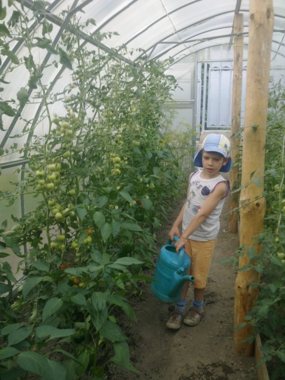 Натиснете снимката за да я уголемите

Име:11072012222.jpg
Прегледи:2
Размер:96.3 КБ
ID:5391711