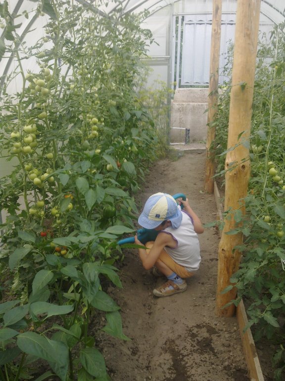 Натиснете снимката за да я уголемите

Име:11072012223.jpg
Прегледи:2
Размер:112.2 КБ
ID:5391712