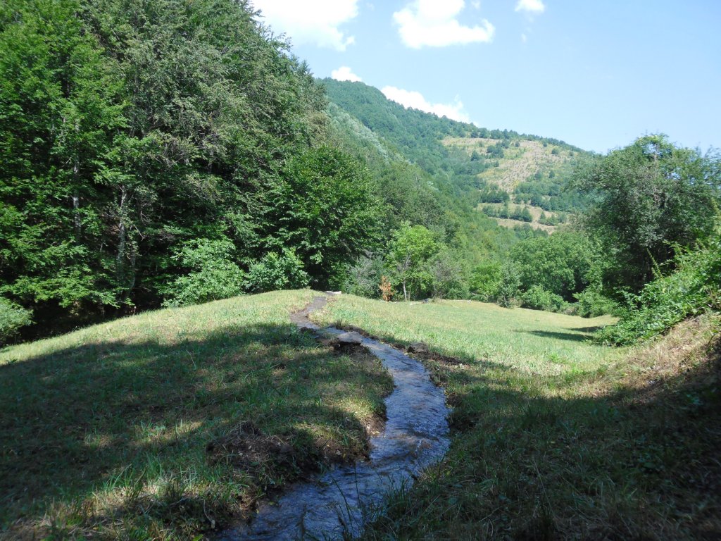 Натиснете снимката за да я уголемите

Име:SAM_2564.jpg
Прегледи:1
Размер:243.1 КБ
ID:5391943