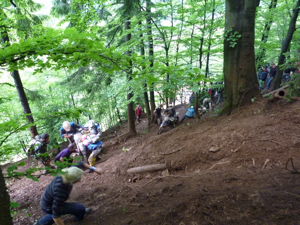 Натиснете снимката за да я уголемите

Име:P1010988.jpg
Прегледи:1
Размер:264.8 КБ
ID:5391999