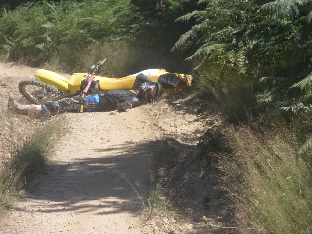 Натиснете снимката за да я уголемите

Име:P7150013.jpg
Прегледи:1
Размер:184.3 КБ
ID:5392100