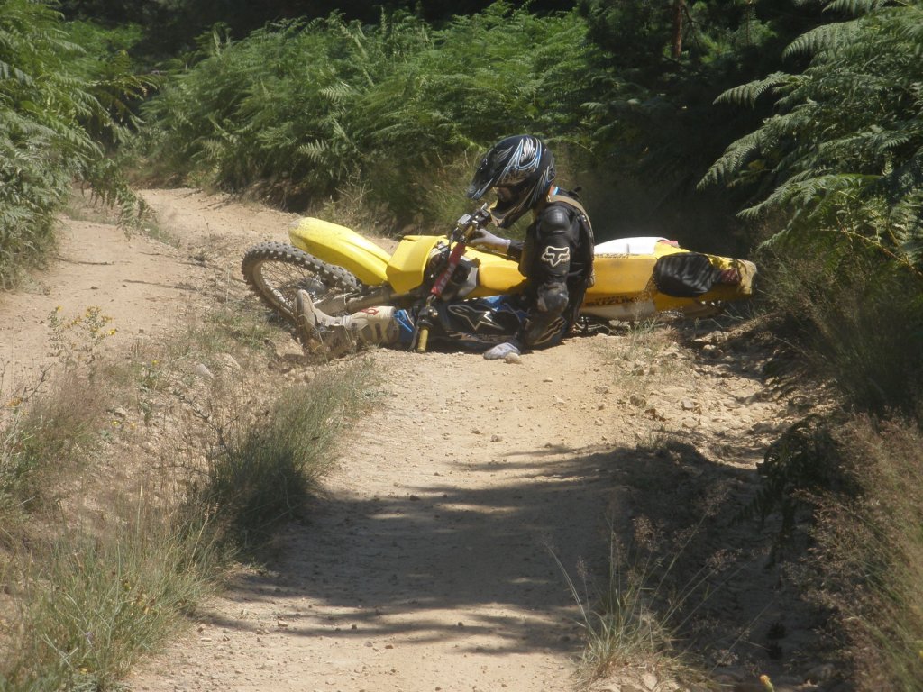 Натиснете снимката за да я уголемите

Име:P7150014.jpg
Прегледи:1
Размер:202.9 КБ
ID:5392101