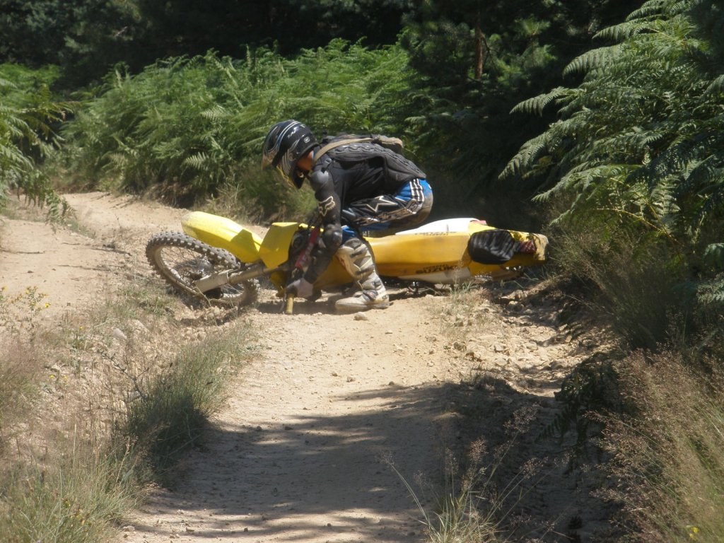 Натиснете снимката за да я уголемите

Име:P7150015.jpg
Прегледи:1
Размер:202.0 КБ
ID:5392102