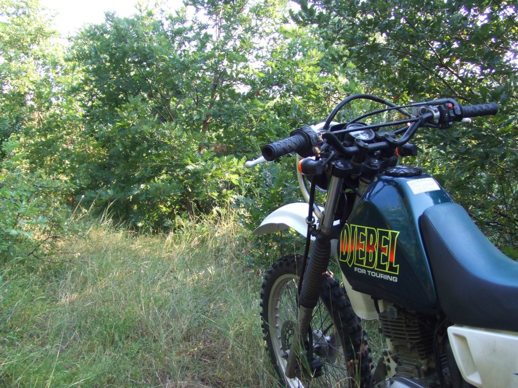 Натиснете снимката за да я уголемите

Име:DSCF3243.jpg
Прегледи:1
Размер:277.2 КБ
ID:5392240