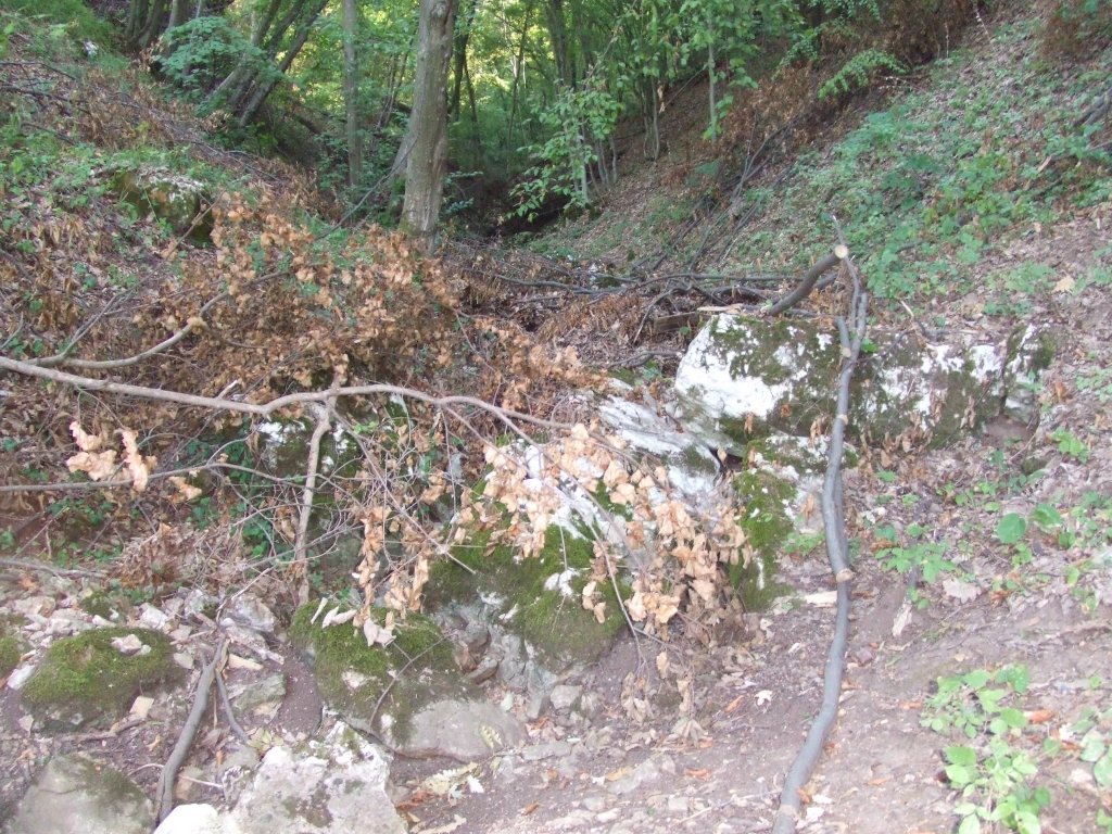 Натиснете снимката за да я уголемите

Име:DSCF3224.jpg
Прегледи:1
Размер:271.0 КБ
ID:5392241