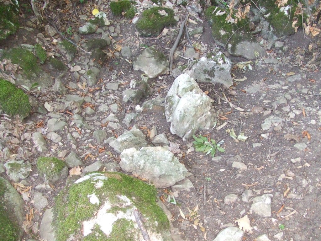 Натиснете снимката за да я уголемите

Име:DSCF3225.jpg
Прегледи:1
Размер:245.0 КБ
ID:5392242