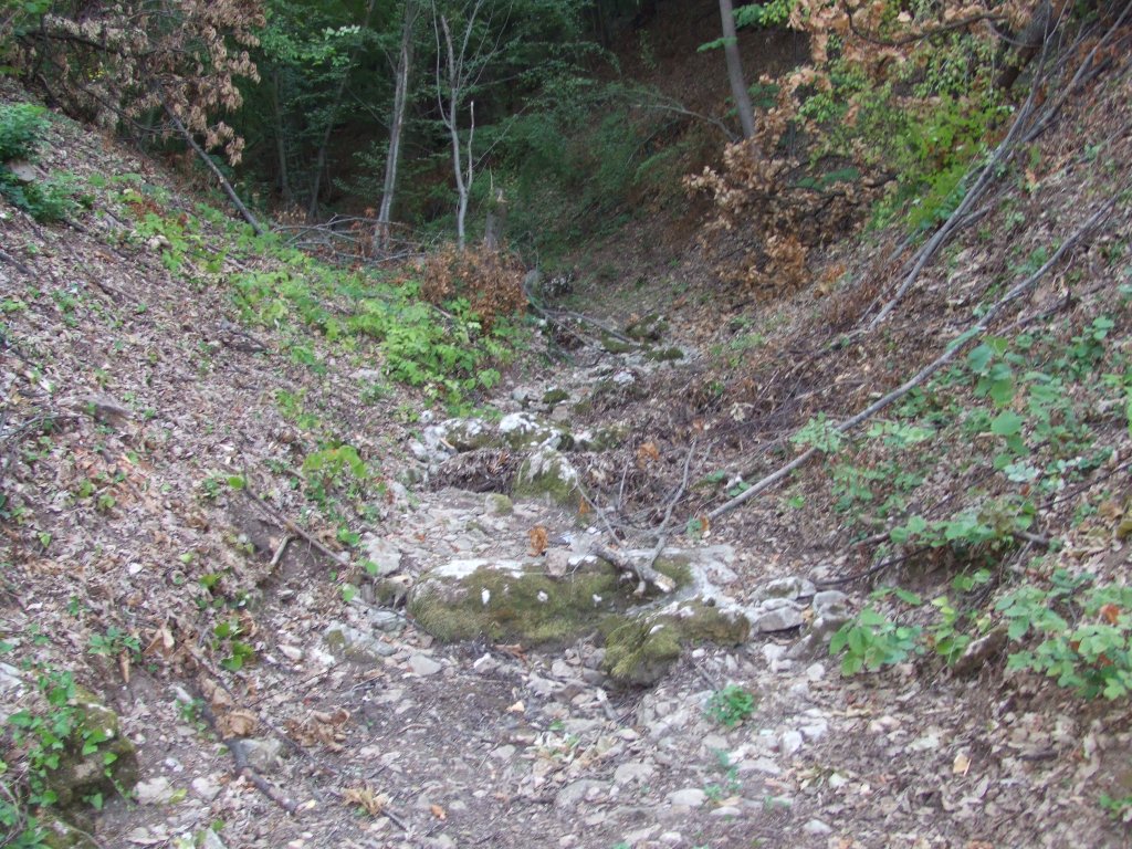 Натиснете снимката за да я уголемите

Име:DSCF3227.jpg
Прегледи:1
Размер:269.0 КБ
ID:5392244