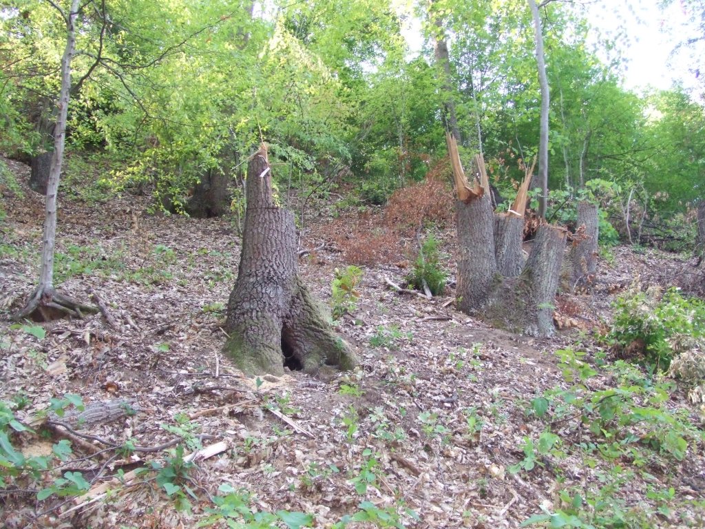 Натиснете снимката за да я уголемите

Име:DSCF3228.jpg
Прегледи:1
Размер:309.8 КБ
ID:5392245