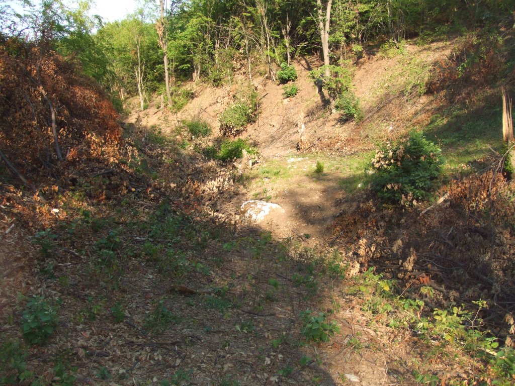 Натиснете снимката за да я уголемите

Име:DSCF3230.jpg
Прегледи:1
Размер:277.1 КБ
ID:5392247