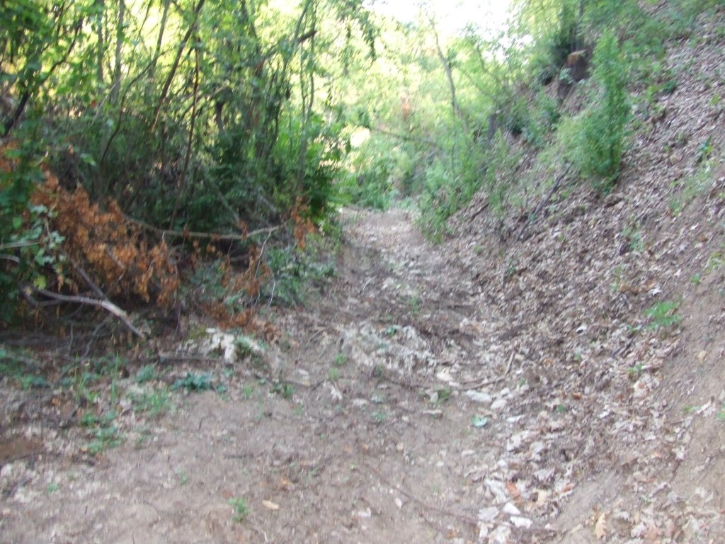 Натиснете снимката за да я уголемите

Име:DSCF3231.jpg
Прегледи:1
Размер:204.9 КБ
ID:5392248