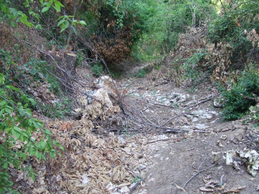 Натиснете снимката за да я уголемите

Име:DSCF3232.jpg
Прегледи:1
Размер:271.8 КБ
ID:5392249