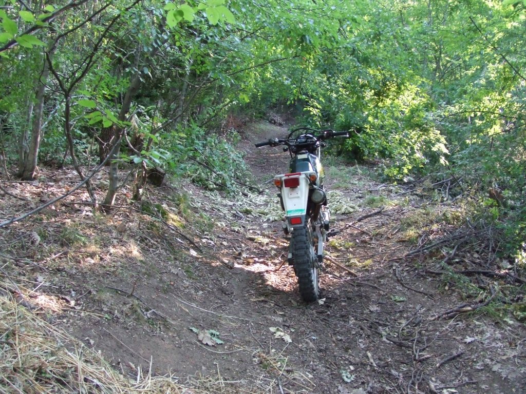 Натиснете снимката за да я уголемите

Име:DSCF3234.jpg
Прегледи:1
Размер:309.2 КБ
ID:5392251