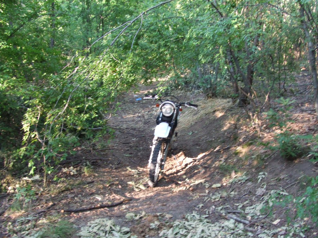 Натиснете снимката за да я уголемите

Име:DSCF3235.jpg
Прегледи:1
Размер:252.1 КБ
ID:5392252