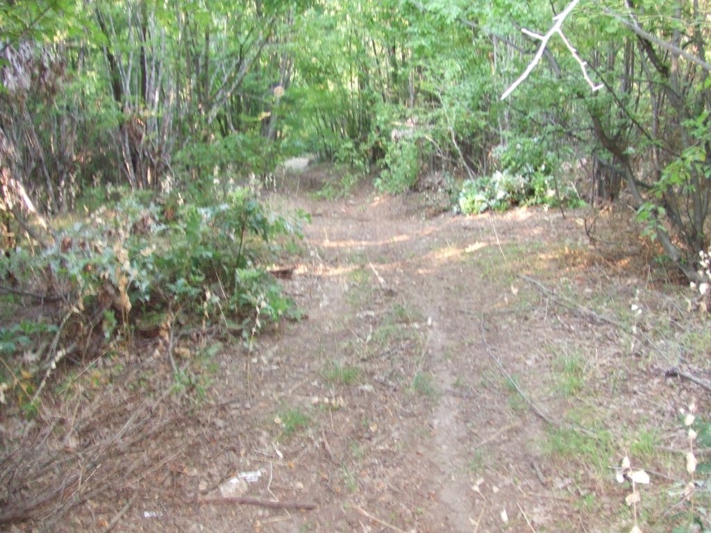 Натиснете снимката за да я уголемите

Име:DSCF3237.jpg
Прегледи:1
Размер:203.5 КБ
ID:5392254