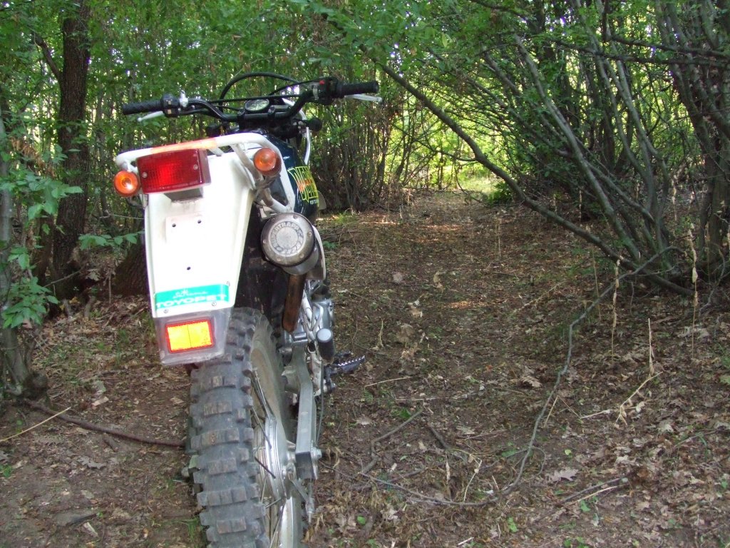 Натиснете снимката за да я уголемите

Име:DSCF3238.jpg
Прегледи:1
Размер:251.6 КБ
ID:5392255