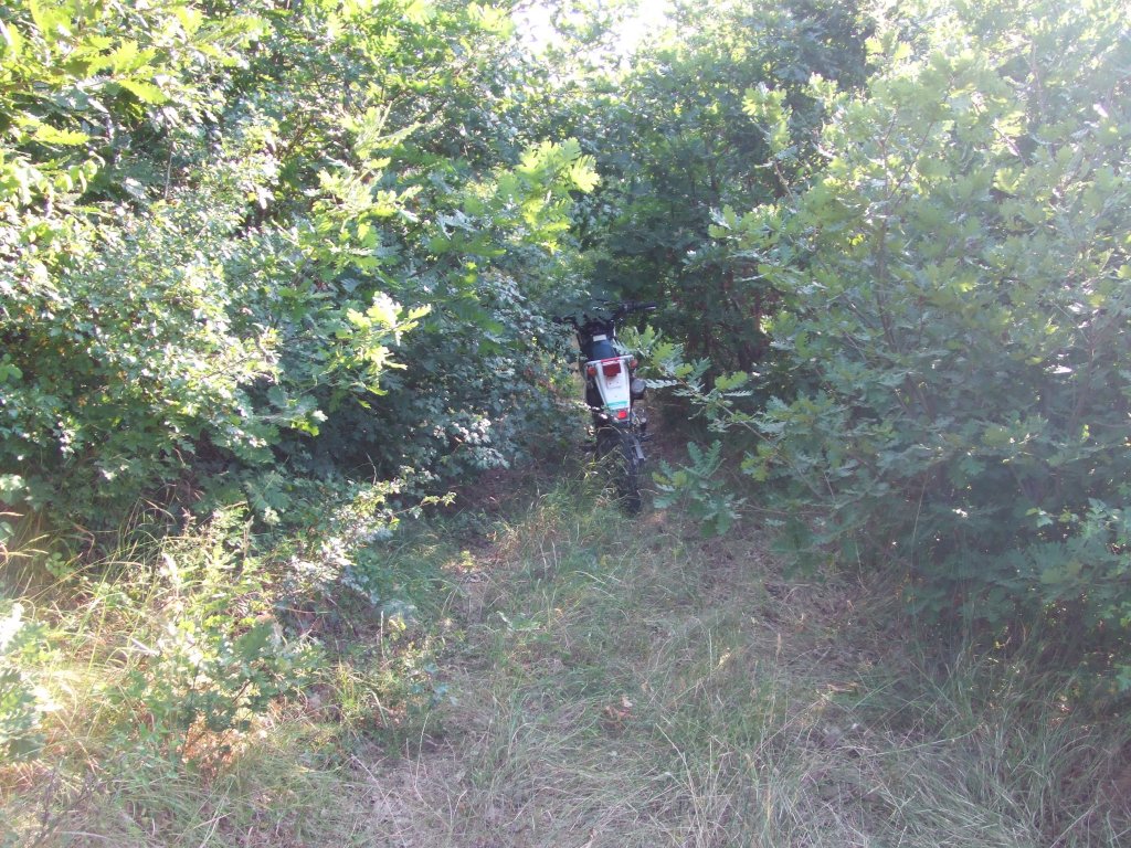 Натиснете снимката за да я уголемите

Име:DSCF3239.jpg
Прегледи:1
Размер:271.5 КБ
ID:5392256