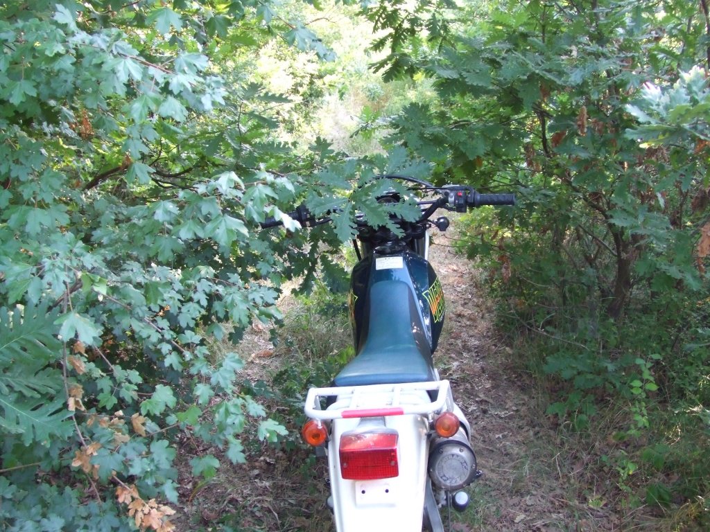 Натиснете снимката за да я уголемите

Име:DSCF3240.jpg
Прегледи:1
Размер:246.1 КБ
ID:5392257