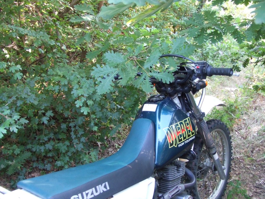 Натиснете снимката за да я уголемите

Име:DSCF3241.jpg
Прегледи:1
Размер:237.1 КБ
ID:5392258