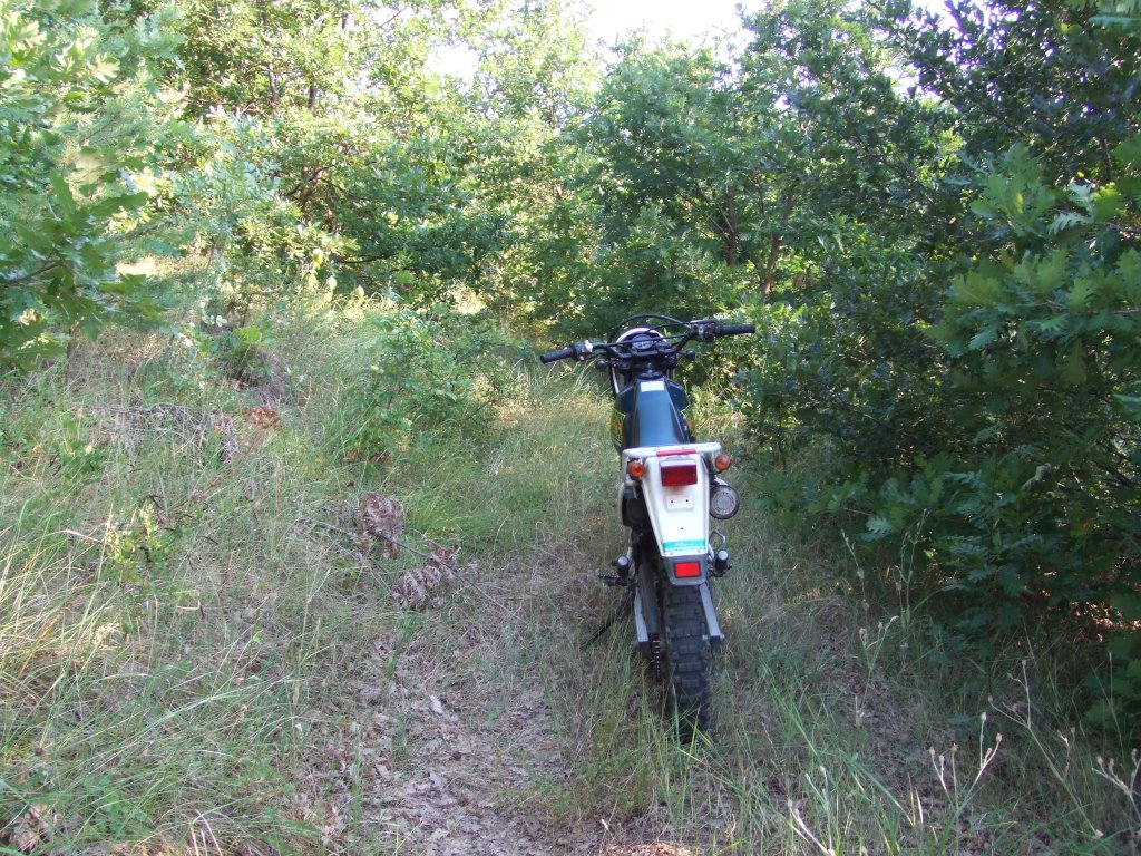 Натиснете снимката за да я уголемите

Име:DSCF3242.jpg
Прегледи:1
Размер:301.2 КБ
ID:5392259