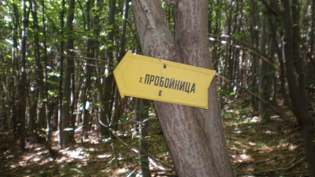 Натиснете снимката за да я уголемите

Име:P7150106.jpg
Прегледи:1
Размер:125.7 КБ
ID:5392471