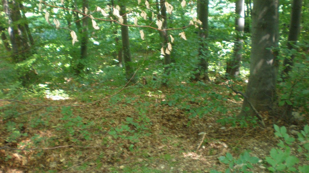 Натиснете снимката за да я уголемите

Име:P7150144.jpg
Прегледи:1
Размер:148.7 КБ
ID:5392507