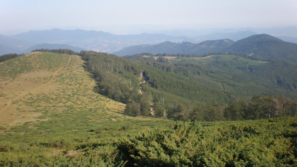 Натиснете снимката за да я уголемите

Име:P7160223.jpg
Прегледи:1
Размер:117.8 КБ
ID:5392911