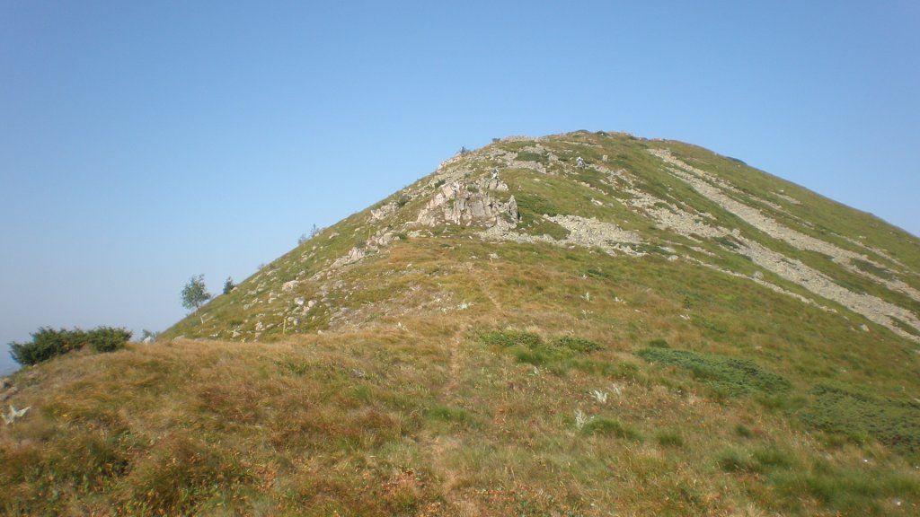 Натиснете снимката за да я уголемите

Име:P7160232.jpg
Прегледи:1
Размер:102.0 КБ
ID:5392920