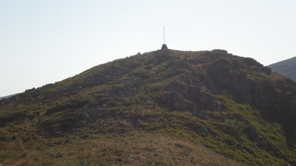 Натиснете снимката за да я уголемите

Име:P7160235.jpg
Прегледи:1
Размер:67.8 КБ
ID:5392923