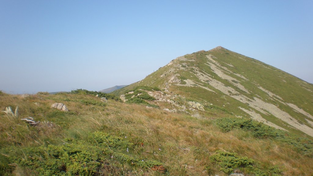 Натиснете снимката за да я уголемите

Име:P7160238.jpg
Прегледи:1
Размер:109.4 КБ
ID:5392934