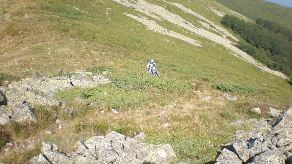 Натиснете снимката за да я уголемите

Име:P7160245.jpg
Прегледи:1
Размер:174.8 КБ
ID:5392945