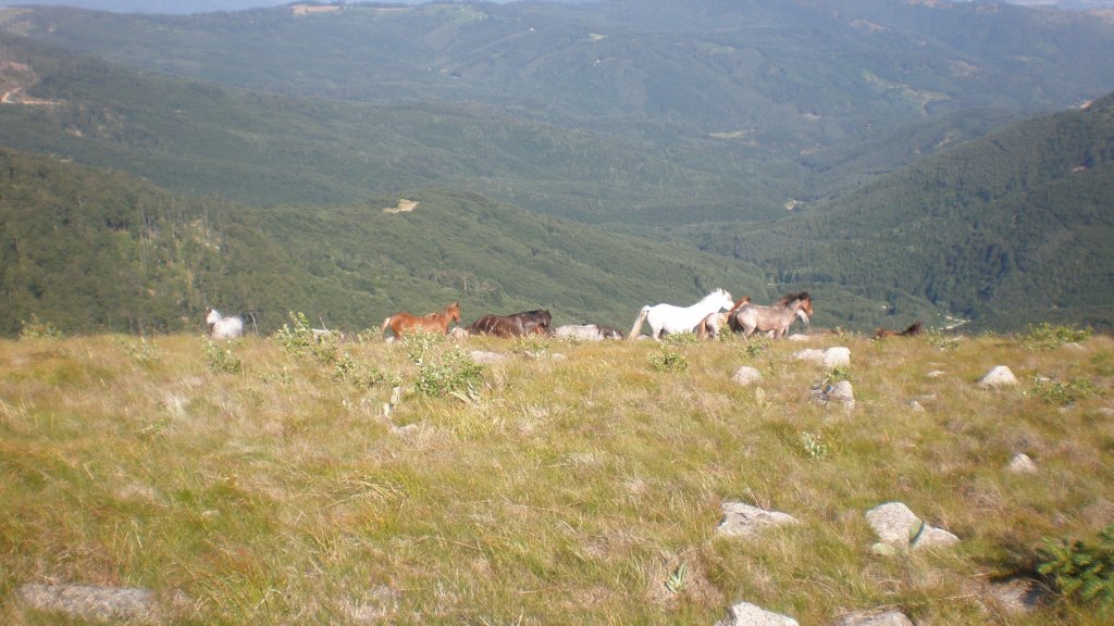 Натиснете снимката за да я уголемите

Име:P7160256.jpg
Прегледи:1
Размер:126.0 КБ
ID:5392960