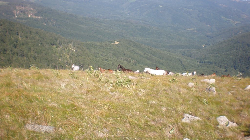 Натиснете снимката за да я уголемите

Име:P7160259.jpg
Прегледи:1
Размер:128.5 КБ
ID:5392963