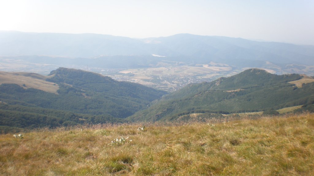 Натиснете снимката за да я уголемите

Име:P7160262.jpg
Прегледи:1
Размер:89.8 КБ
ID:5392966