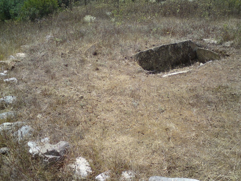Натиснете снимката за да я уголемите

Име:DSC01383.jpg
Прегледи:1
Размер:305.2 КБ
ID:5392995