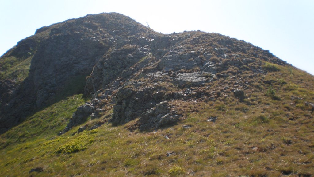 Натиснете снимката за да я уголемите

Име:P7160271.jpg
Прегледи:1
Размер:118.1 КБ
ID:5393044