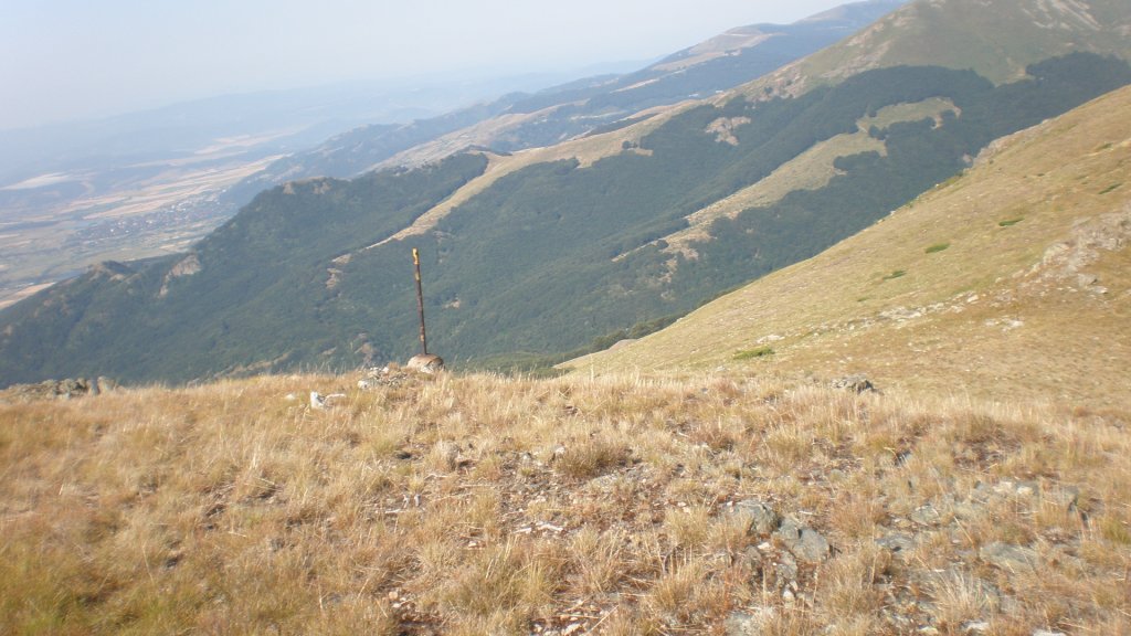 Натиснете снимката за да я уголемите

Име:P7160273.jpg
Прегледи:1
Размер:124.8 КБ
ID:5393046