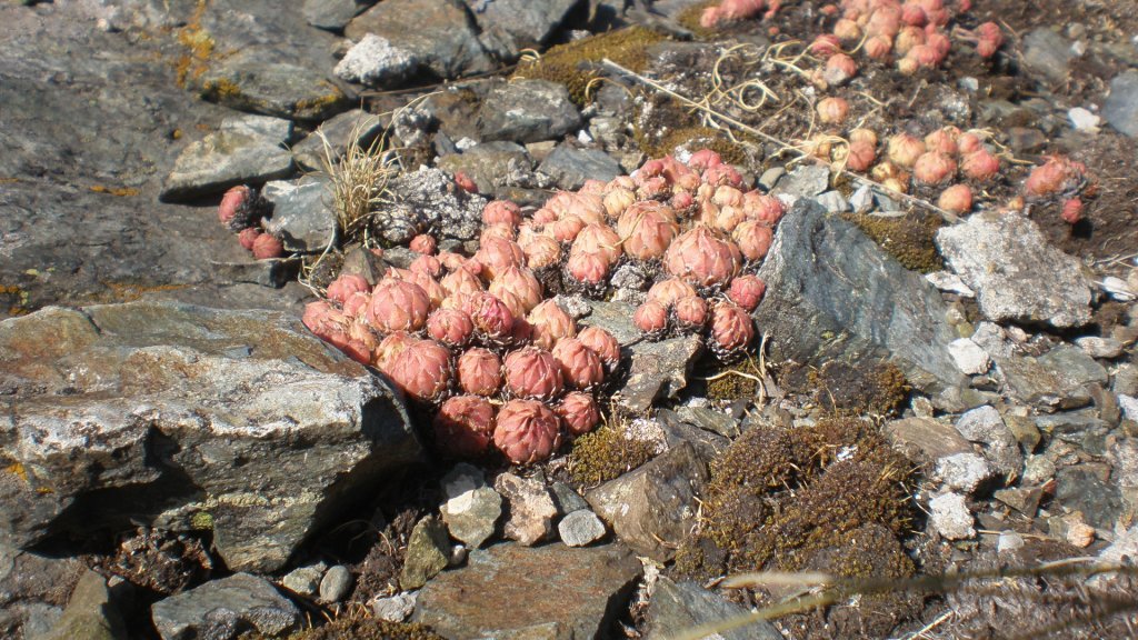 Натиснете снимката за да я уголемите

Име:P7160287.jpg
Прегледи:1
Размер:202.3 КБ
ID:5393063