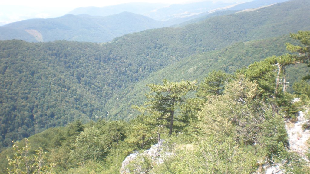 Натиснете снимката за да я уголемите

Име:P7160301.jpg
Прегледи:1
Размер:151.2 КБ
ID:5393080