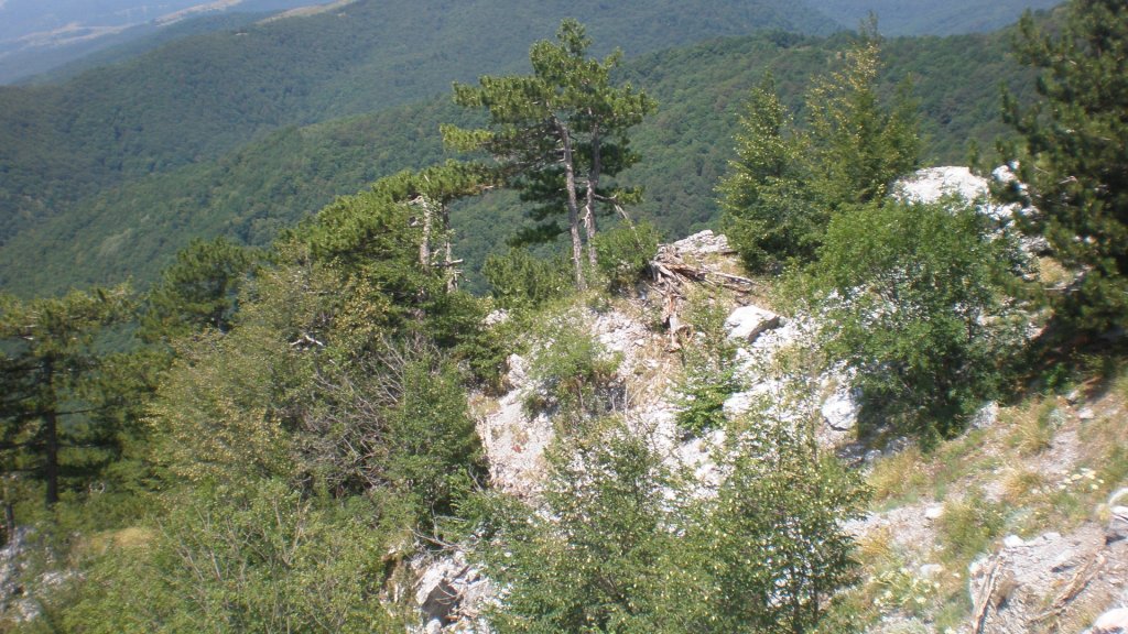 Натиснете снимката за да я уголемите

Име:P7160302.jpg
Прегледи:1
Размер:187.8 КБ
ID:5393081